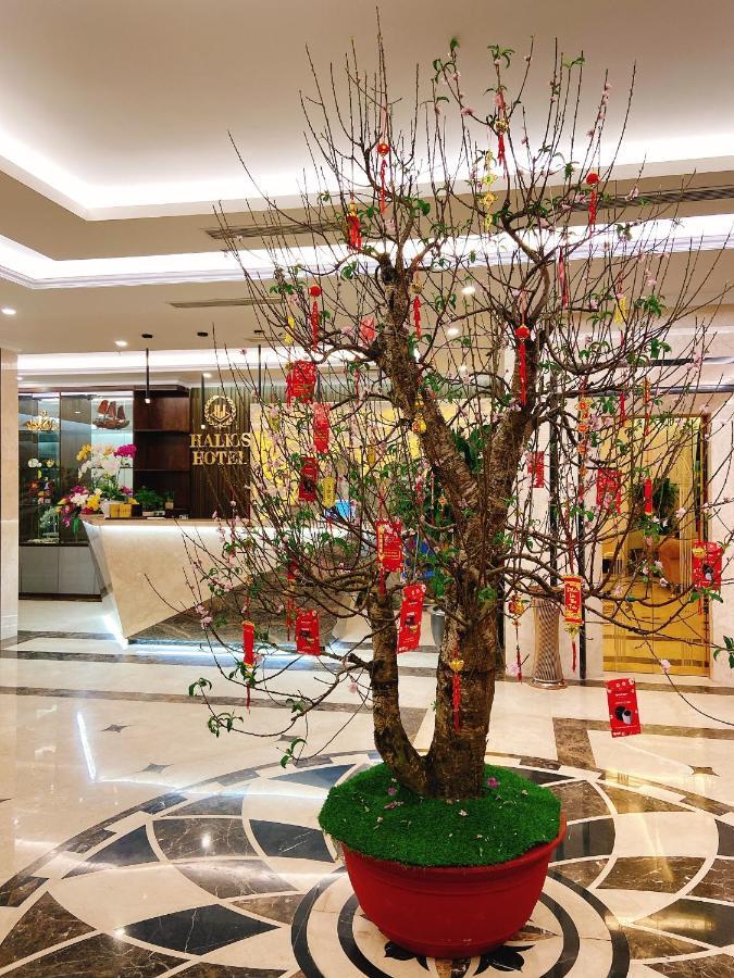 Halios Halong Hotel Ha Long Eksteriør bilde